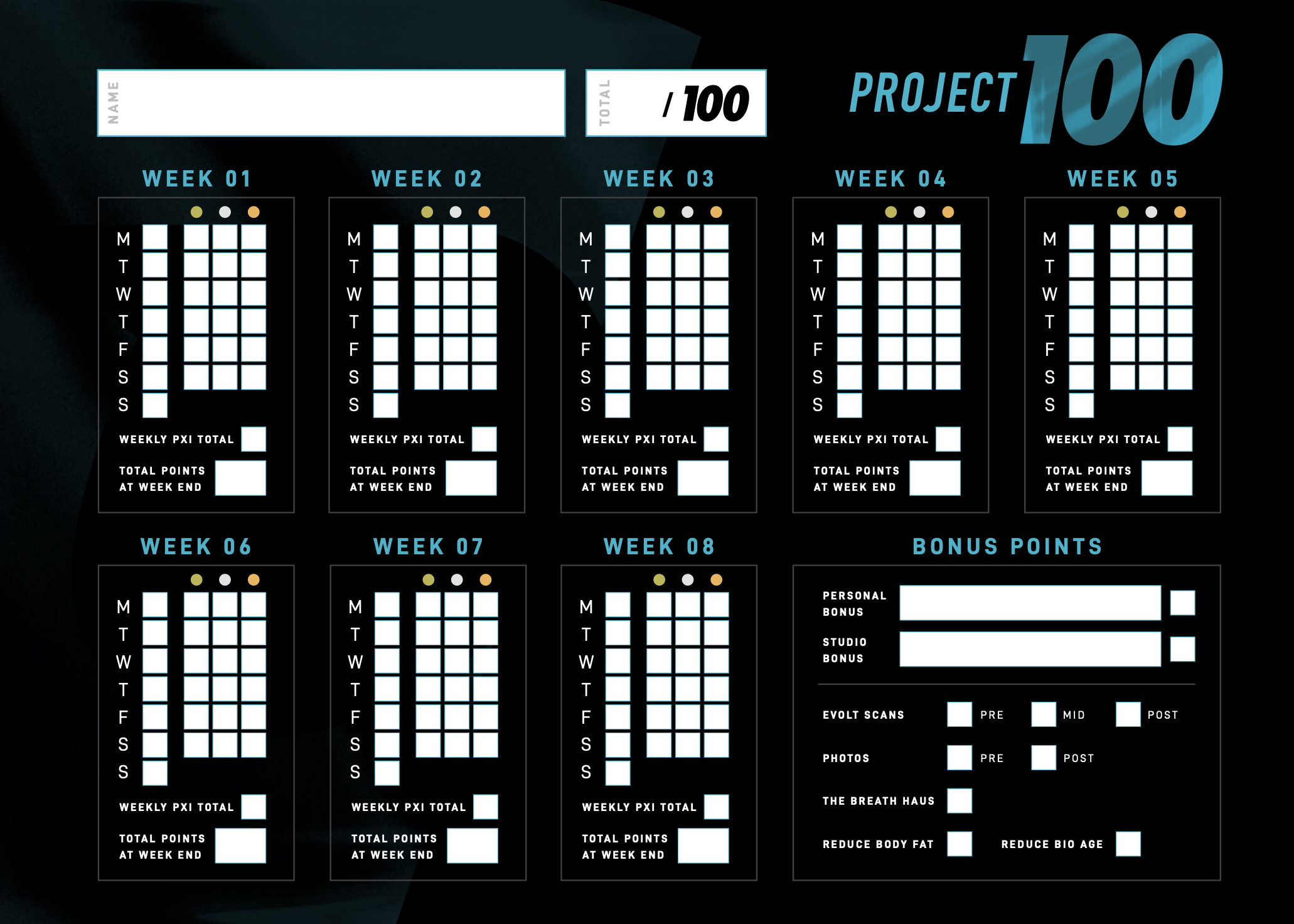 project 100 tracker